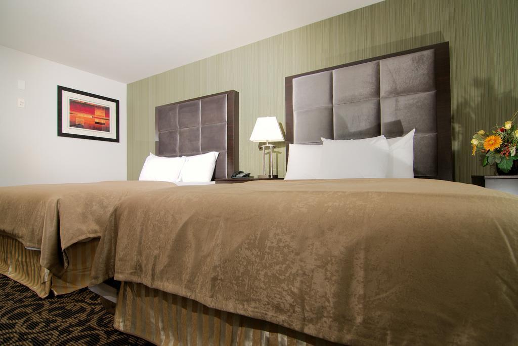 Paradise Inn And Suites Redwater Chambre photo